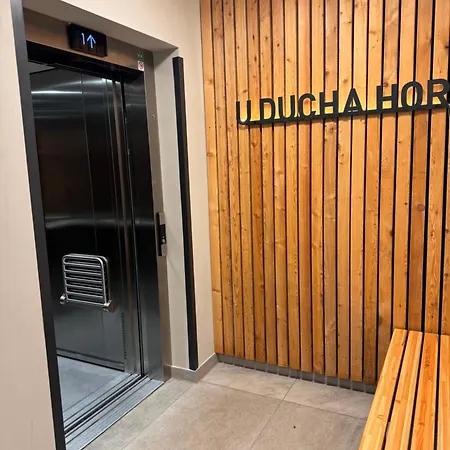 Apartmán Luxusní Grand V Centru Harrachova Se Soukromou Mega Terasou, S Možností Dobíjení Wallbox Ev A Výhledem Na Harrachovský Kostelíček Harrachov